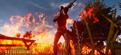 这类高含金 这类高含金